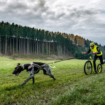 Extrmny test Cross kolobeky Crussis