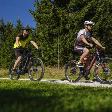 Otvorte brny dobrodrustva s elektrickmi bicyklami CRUSSIS 10.9