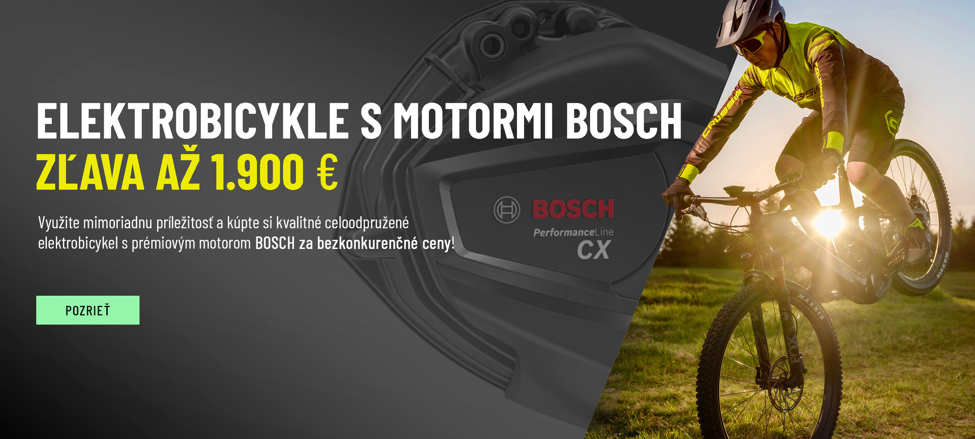 Bosch akce